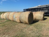 13 bales Grass hay sold by choice