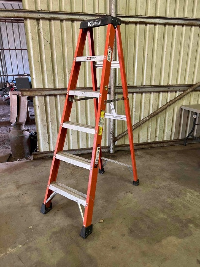 Davidson orange 5 1/2 ft ladder