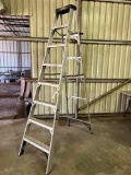 8ft aluminum ladder silver