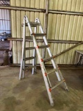 Ansi little giant adjustable ladder silver