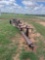 HAY TRAILER