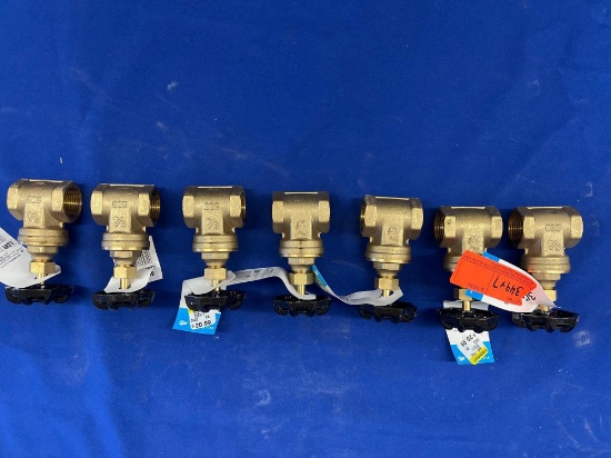 BRASS GATE VALVES