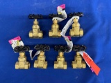 BRASS GATE VALVES