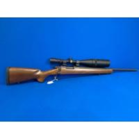 GUN AUCTION