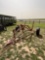 HAY BUGGY WITH HAND WINCH