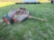 3 POINT 5' MOWER