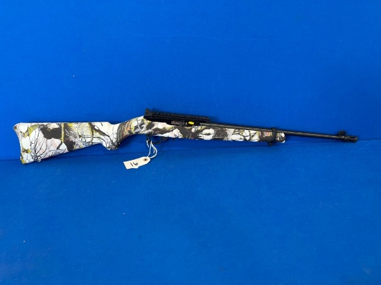 RUGER 10/22 COLLECTIVE #5