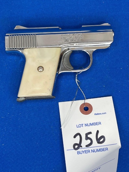 RAVEN ARMS MP-25