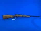 MARLIN 25N