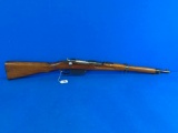 CAI STEYR