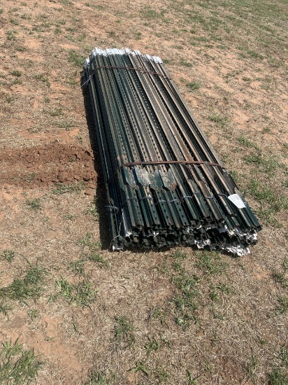 8 FT. T-POST