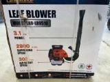 Serial No. ZWD202503125-82 Product Name LEAF BLOWER Brand Landhonor Year 2025 Condition Unused Model