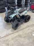 TAO TAO 4 WHEELER