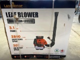 Serial No. ZWD202503125-81 Product Name LEAF BLOWER Brand Landhonor Year 2025 Condition Unused Model