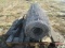 Partial Roll Of Oklahoma Woven Wire 39