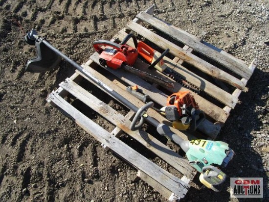 Homelite Chain, Weed Trimmer, Stihl HT75 Powerhead