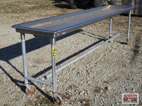 Stainless Steel 24"x10' Table With Splash Lip On Rolling Cart