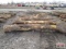 5- Hedge Corner Fence Posts 10'-12' Long, Fresh Cut 5 x Times The Money
