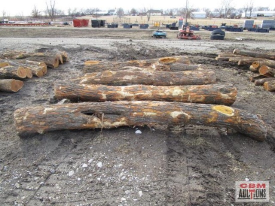 5- Hedge Corner Fence Posts 10'-12' Long, Fresh Cut 5 x Times The Money