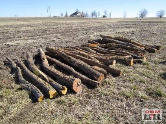 21- Hedge Line Fence Posts 8'-10' Long, Fresh Cut 21 x Times The Money