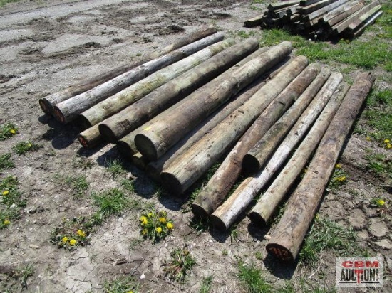 19- 8' +/- Telephone fence posts
