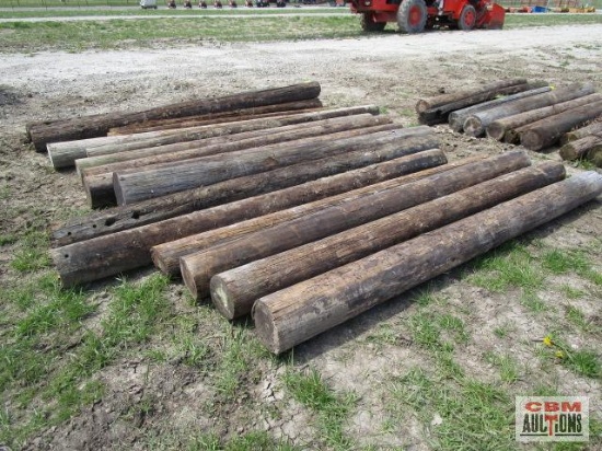 16- 8' -10' +/- Telephone fence posts