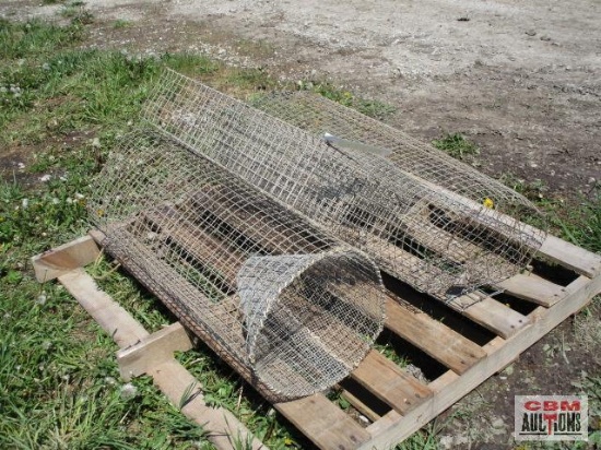 Wire basket animal cages