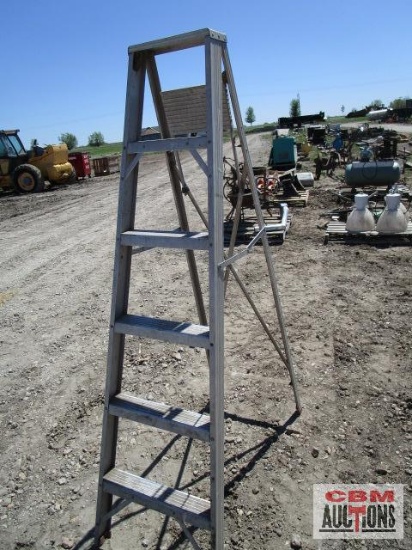 Aluminum step ladder
