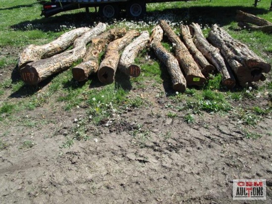 Hedge fence posts 10 x the money