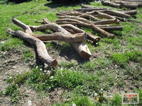 Hedge fence posts 13 x the money