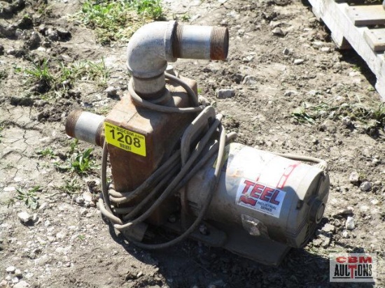 Teel industrial electric water pump 110 volt