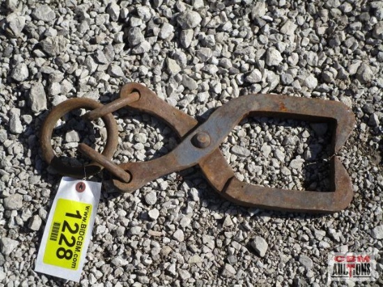 Lifting Tongs
