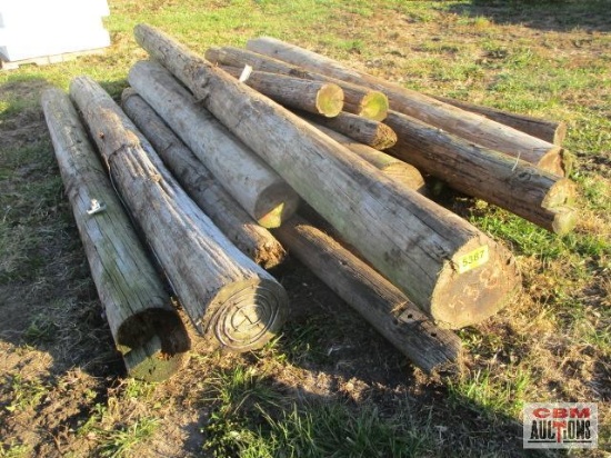 Used telephone pole all lengths and condition
