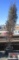 Taylor Juniper Tree