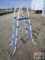 Swimming Pool Ladder