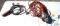 Electrical Cord Extension Cord And Trouble Drop Light