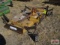 King Kutter 6' 3pt Finish Mower S#5414 (Items In Office)