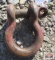 Crosby Lifting Shackle Screw In Pin-Red