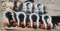 Assorted Lifting Shackles Screw In Pin