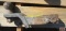 Receiver Hitch and Ball