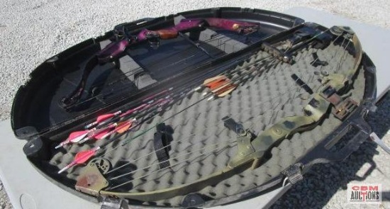 2-Compound Archery Bows With Carrying Case, Golden Eagle & Bear