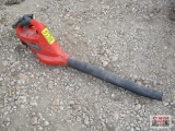 Black & Decker Cordless Leaf Blower (Works)