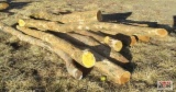 9' Hedge Fence Line Posts 10-12 +/-