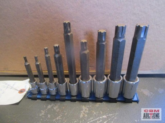 Matco 3/8" Metric Torq Sockets