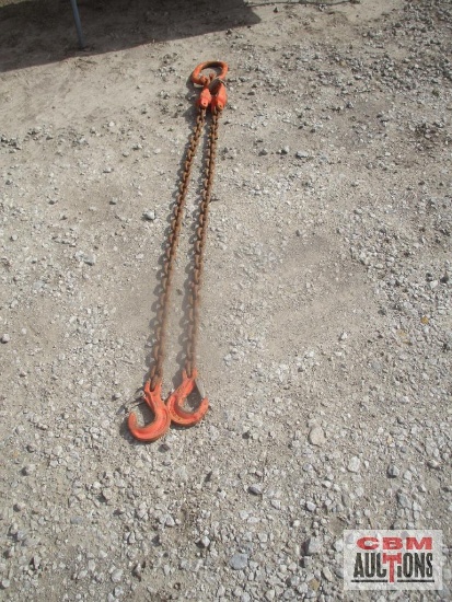 2 Leg 5' Lifting Chain With D Ring *HRF