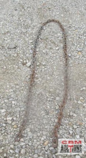 8' Log Chain No Hooks *BLF