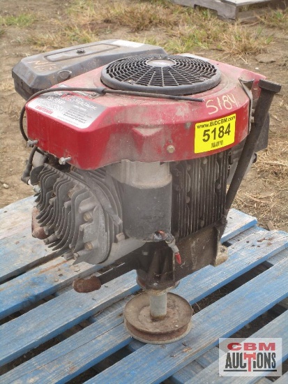 Briggs & Stratton 19.5Hp (Unknown)