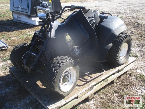 Kawasaki 300cc ATV (Unknown)