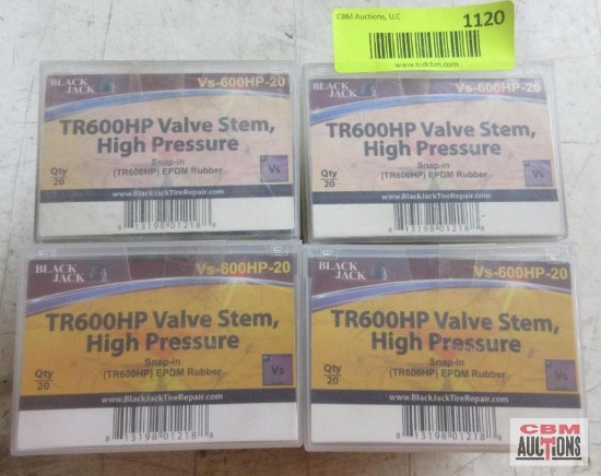 Blackjack 2-VS-573-10 Tubeless Truck Clamp In Valve Stems 1-VS-509-10 Tubeless Truck Valve Stems