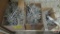 Pegboard Hooks & Misc....